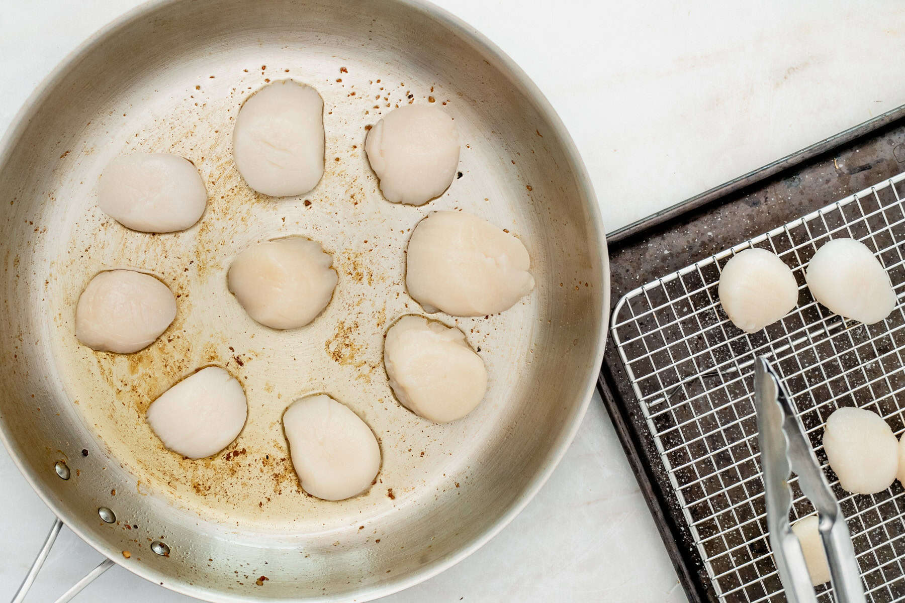 searing scallops in a pan.